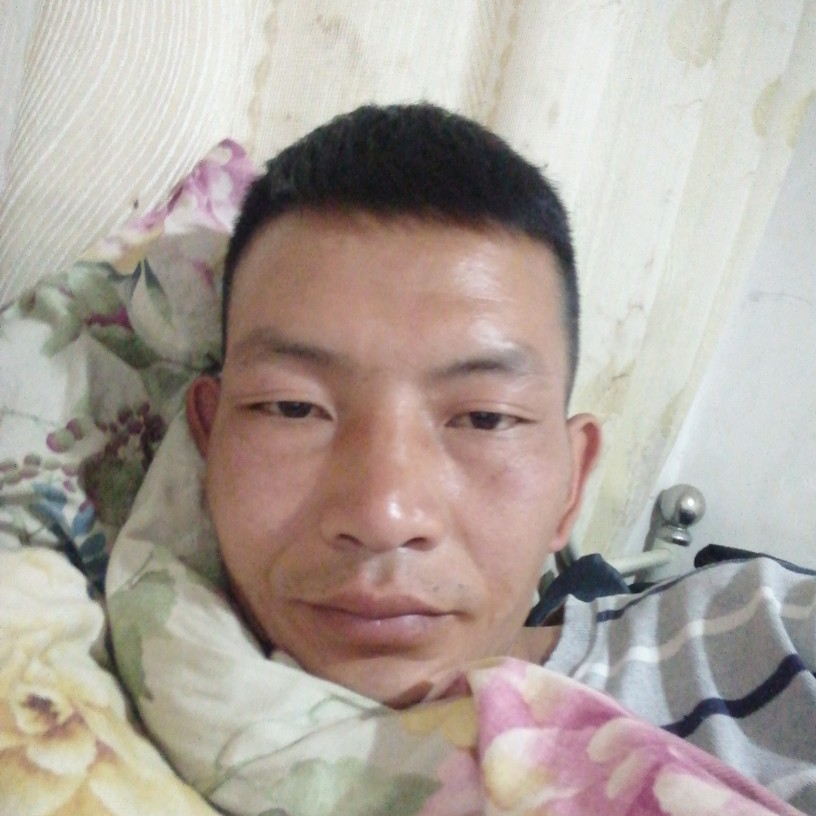 冰棍义气的照片