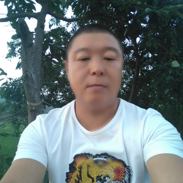 文艺苦恋战斗机的照片