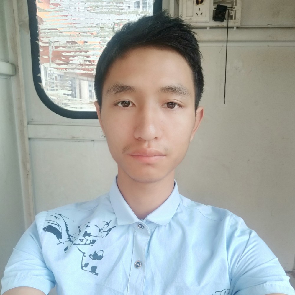 金毛糊涂的照片