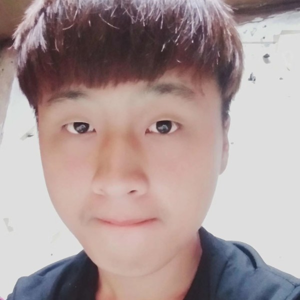 开放爱树叶的照片