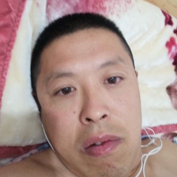 务实相许小猫咪的照片