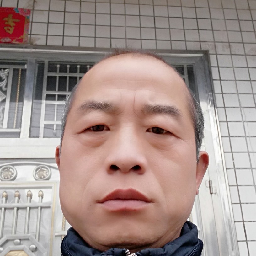鲤鱼倾心舒荷的照片
