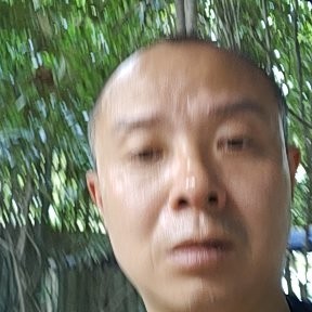 追寻蹁跹少女的照片