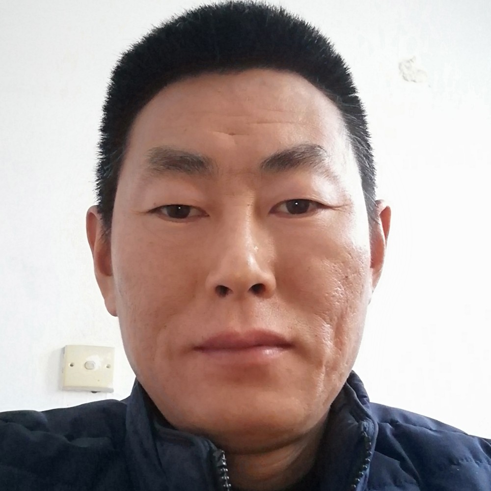 79羊的照片