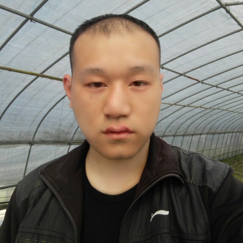 等待多么遥远的照片