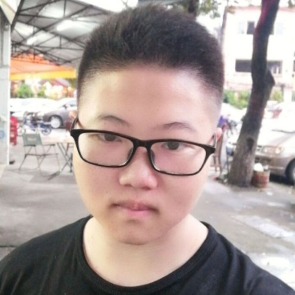 沉静停止向日葵的照片