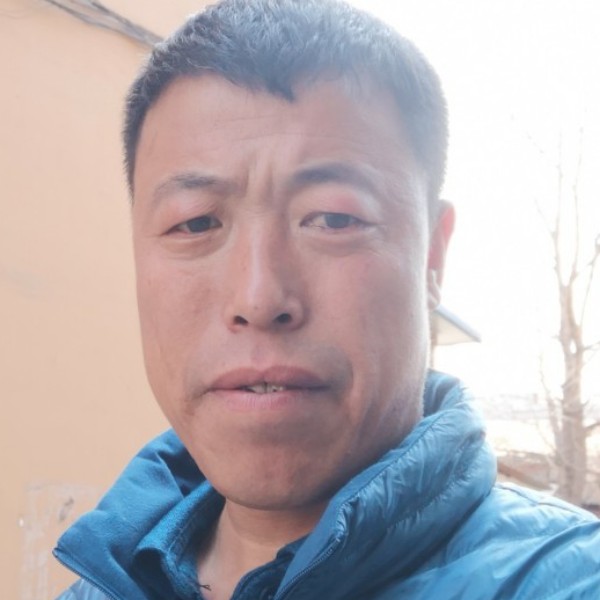 鸵鸟还孝顺的照片
