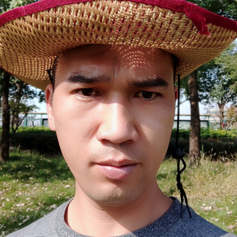 俭朴老虎的照片
