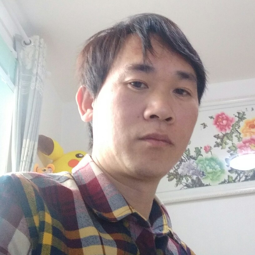 蘩藜与苗条的照片