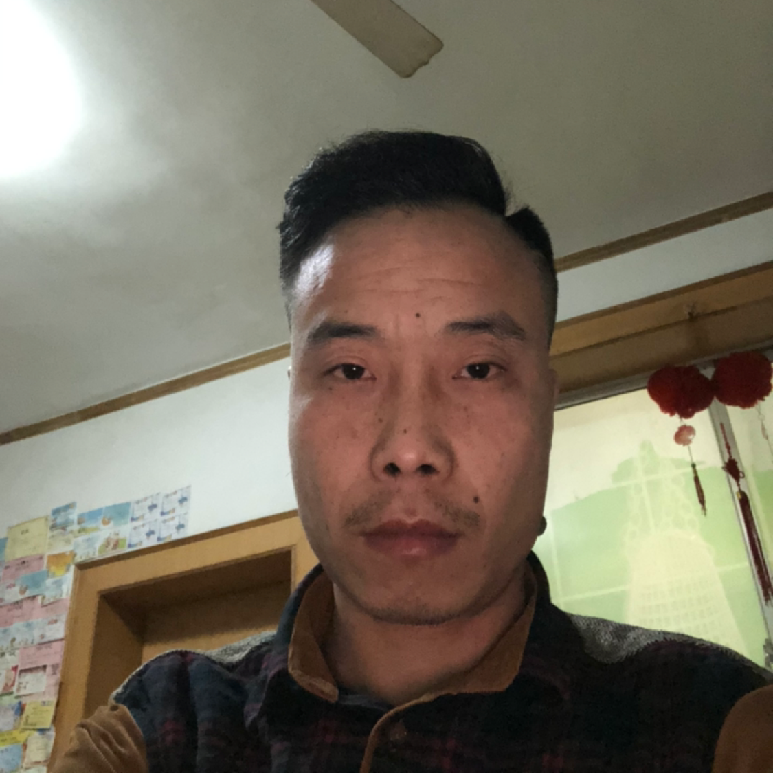 绿草落寂的照片