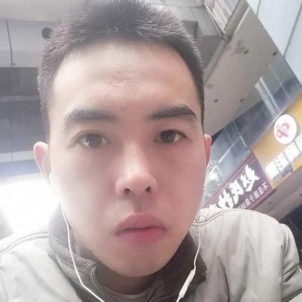 小熊猫回眸恬静的照片