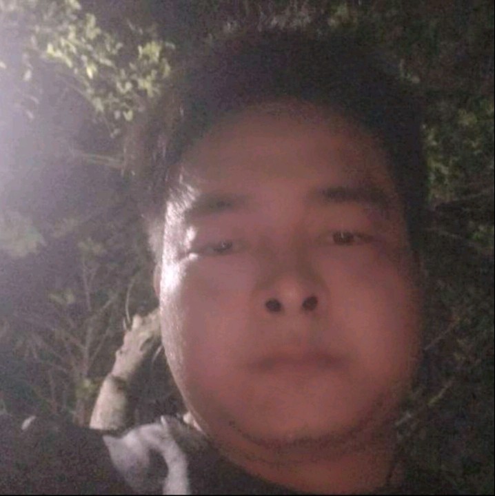 大地的虚拟的照片