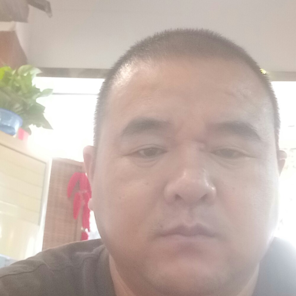 荷花妩媚的照片