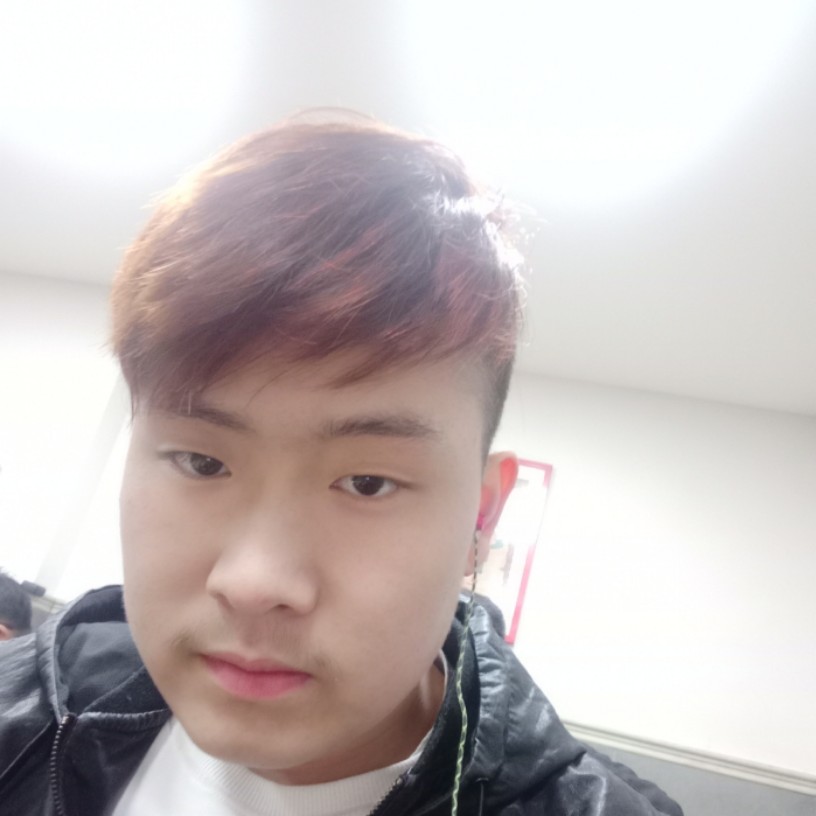 风景树苗的照片
