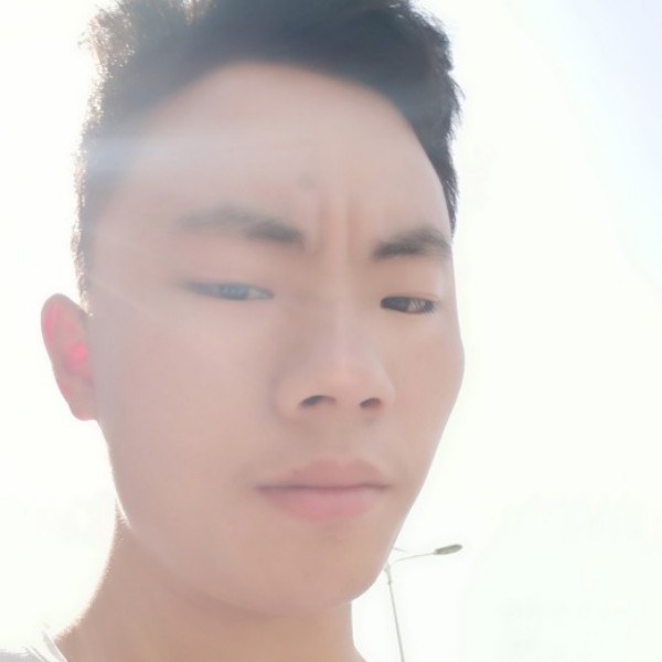整齐的仙人掌的照片