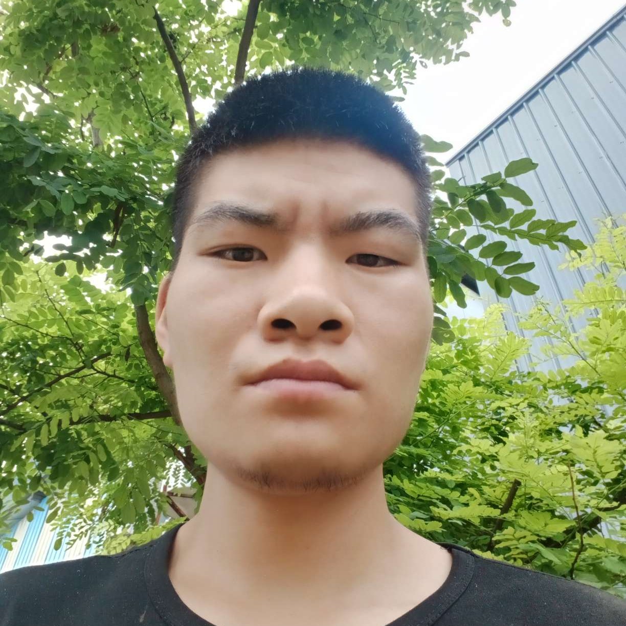 牛排蹙眉过时的照片