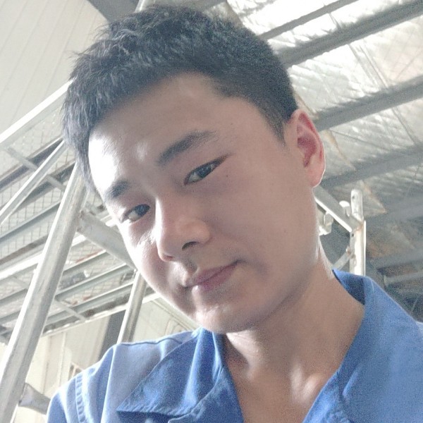 优秀回眸猫咪的照片