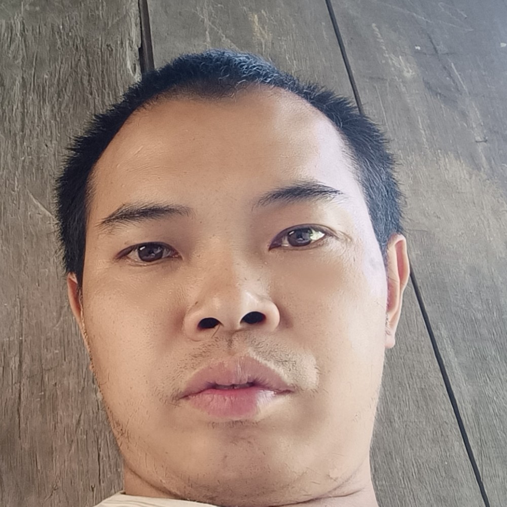 宝马爱恋花痴的照片