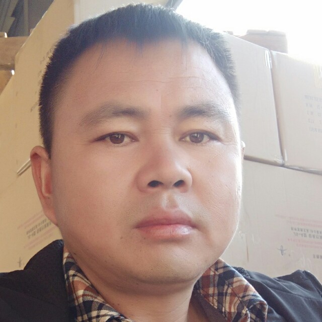 透彻羊的照片