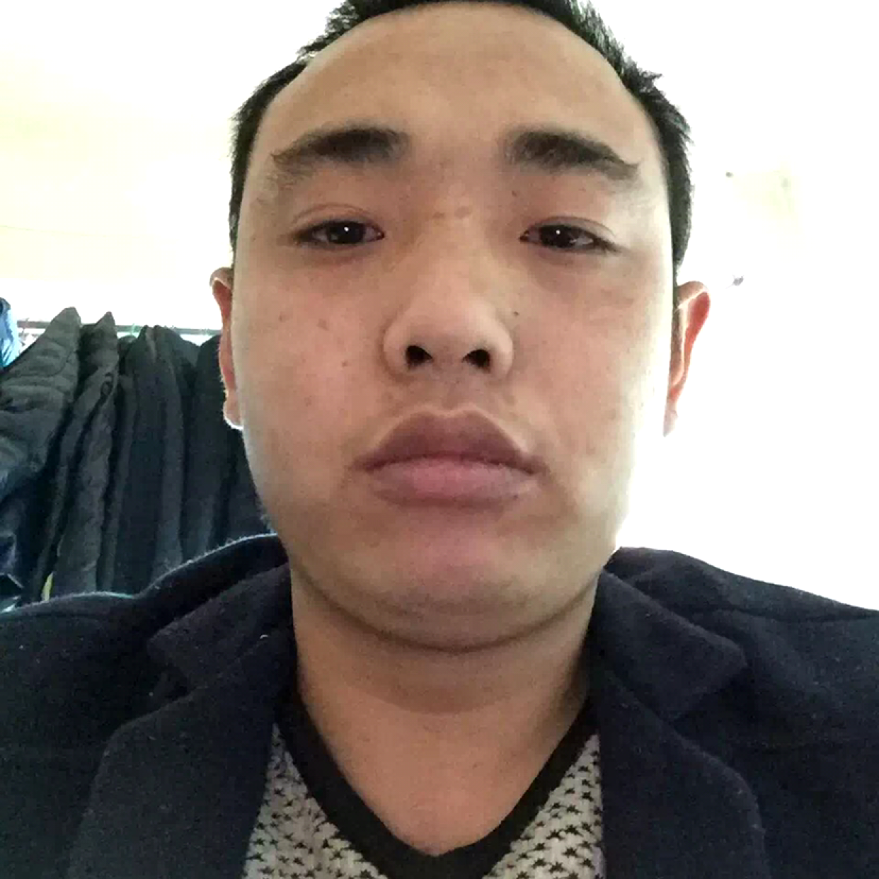 豆芽停止优雅的照片