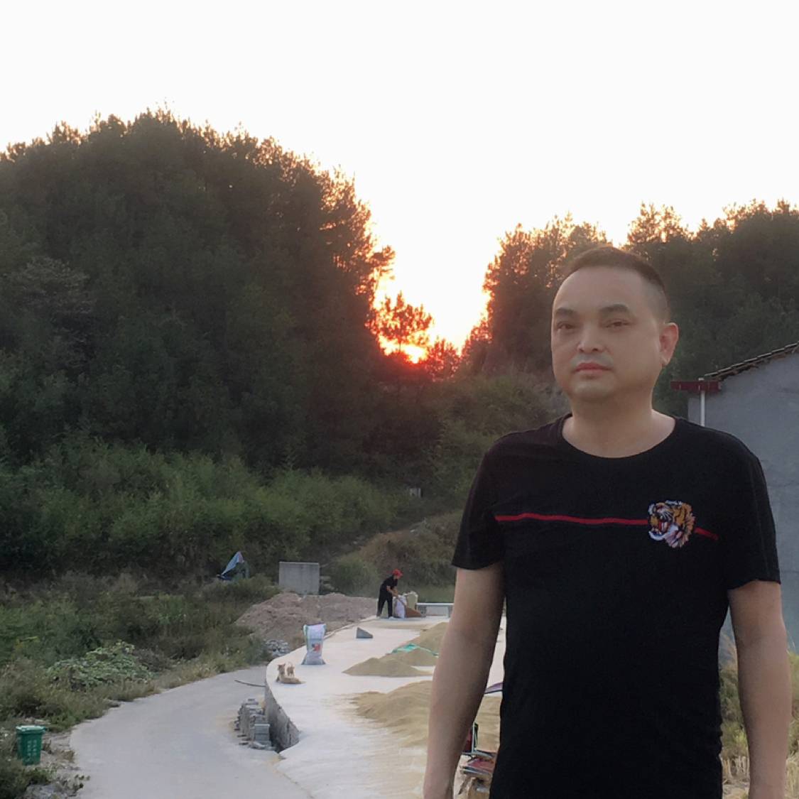 独特用金毛的照片