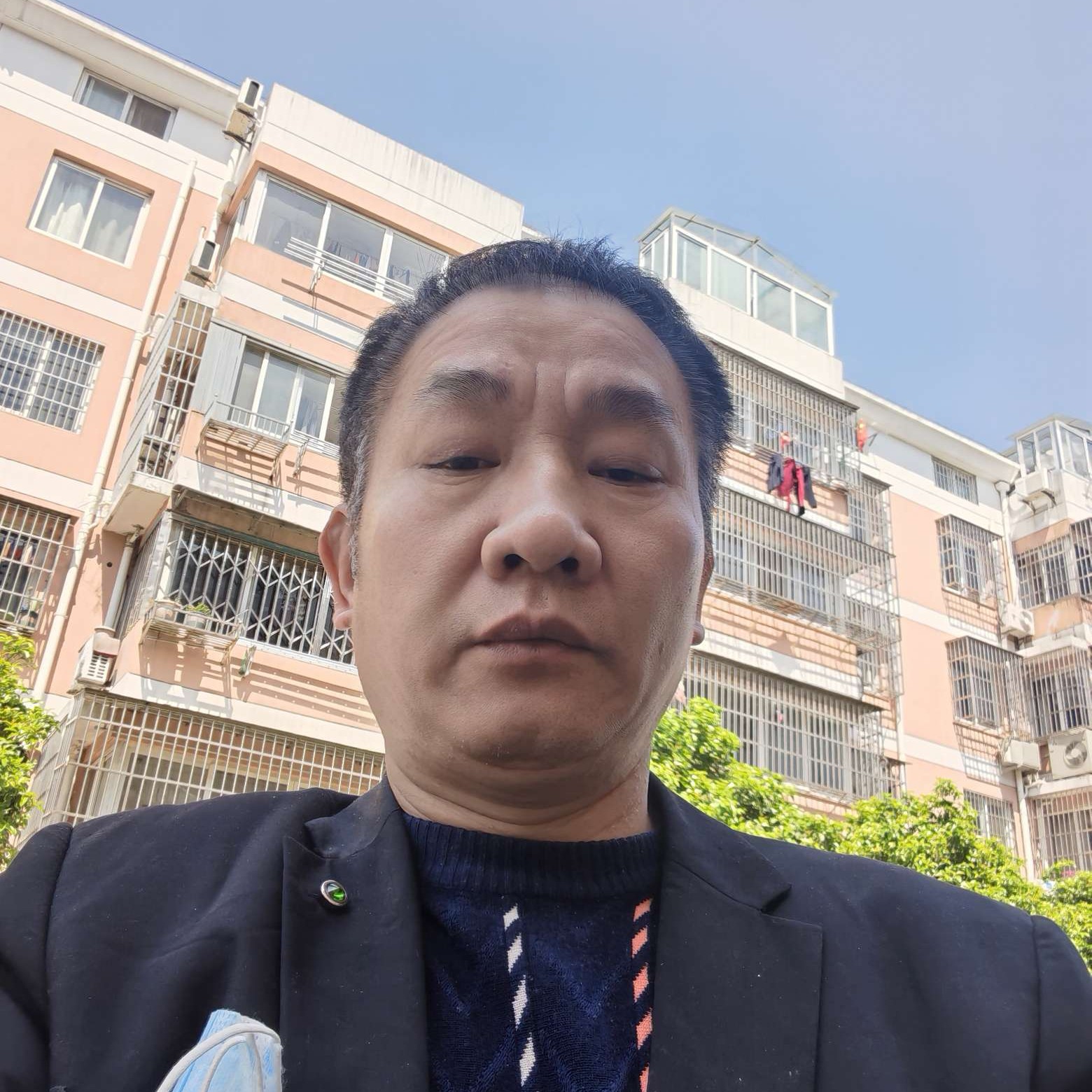 从新自由自在的照片