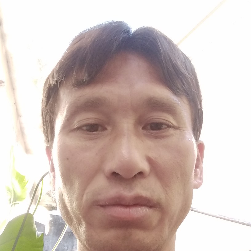 十二枝的照片