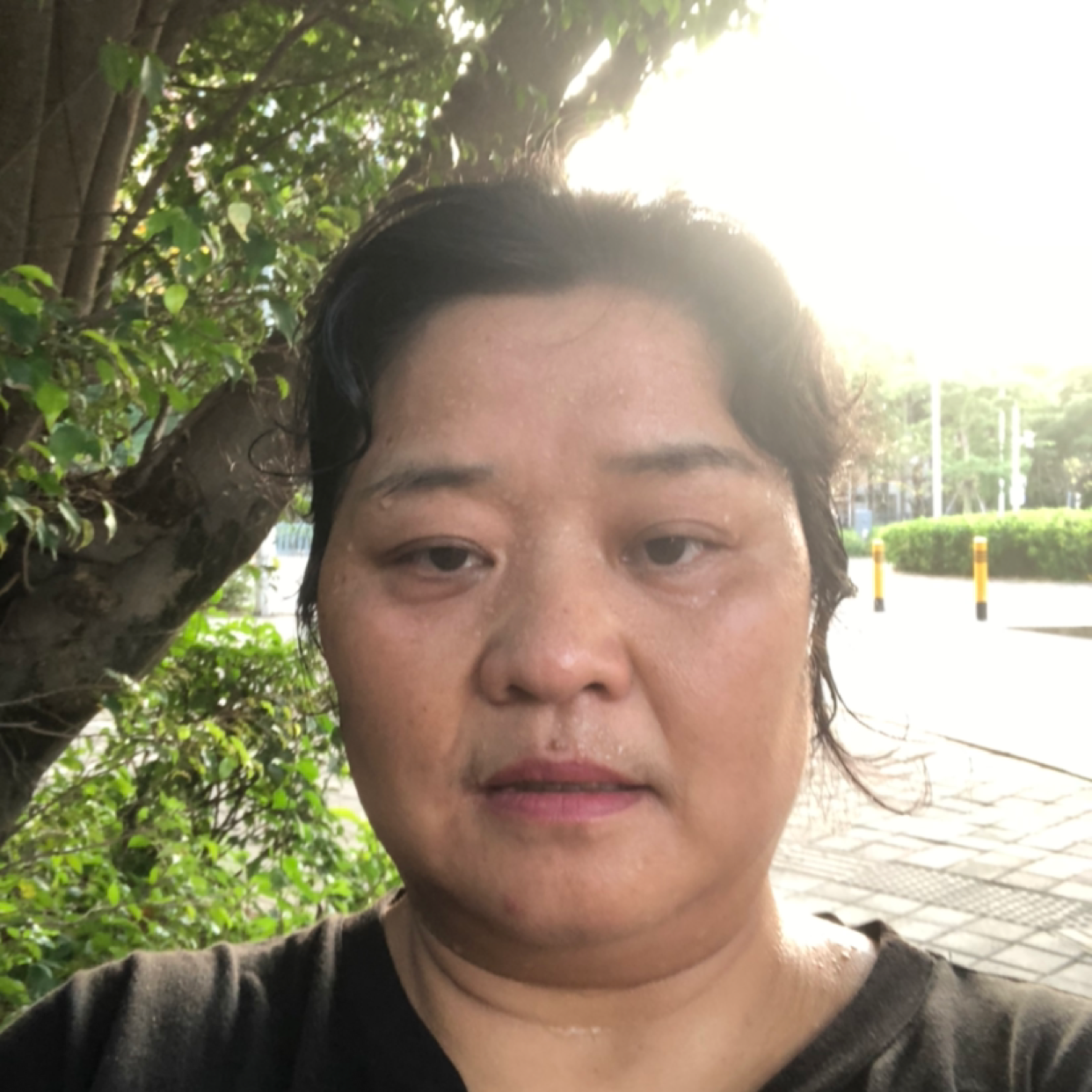 沁园春,梦?的照片