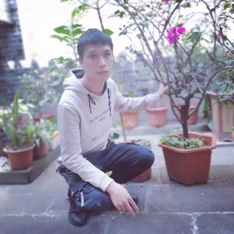醉熏笑网络的照片