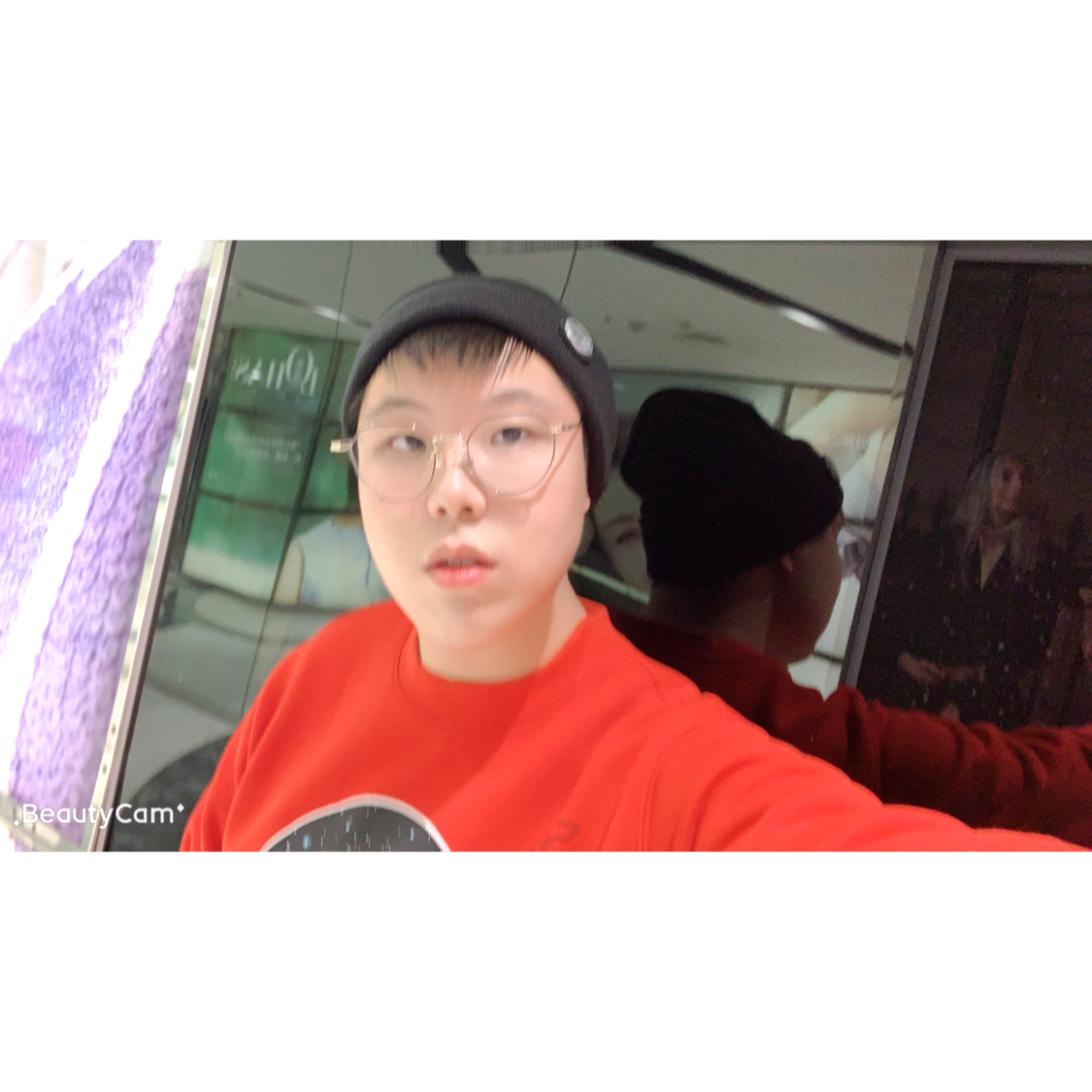 克隆羊多利的照片