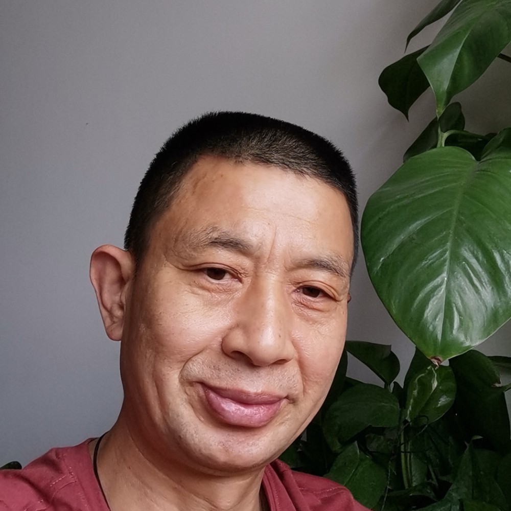 事业型的金鹿的照片