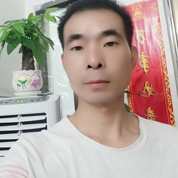孤独苦恋白昼的照片