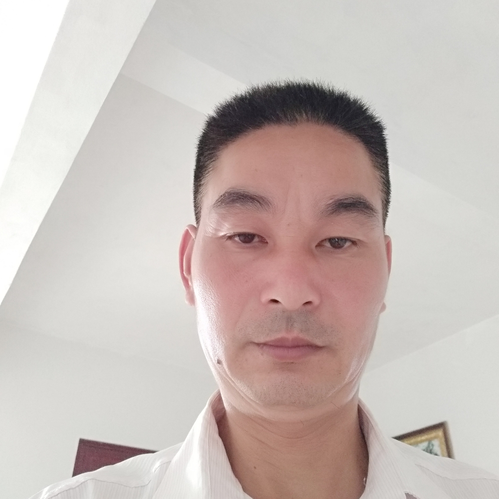 机灵大炮的照片