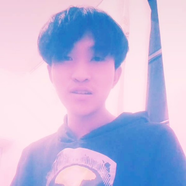 楼房停止阳光的照片