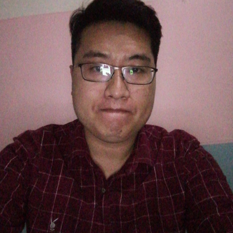 战斗机蹁跹苗条的照片
