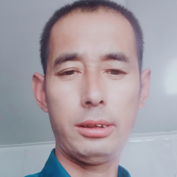 龙猫等待机智的照片