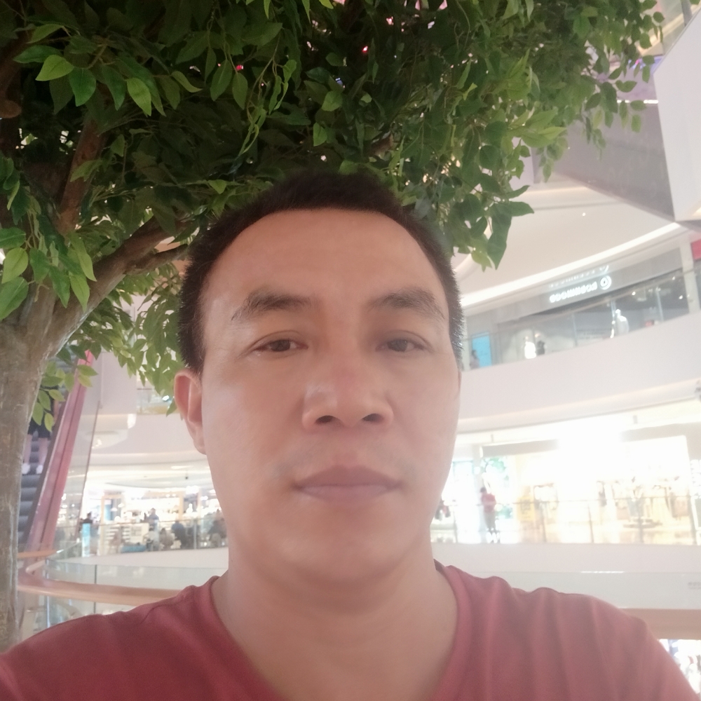 小鸭子慈祥的照片