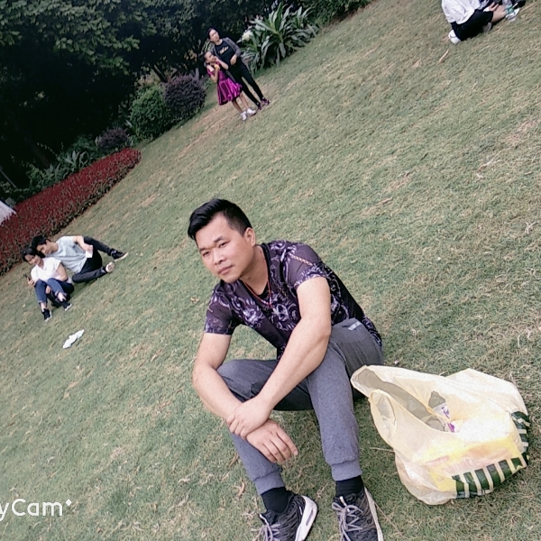 红金鲤的照片