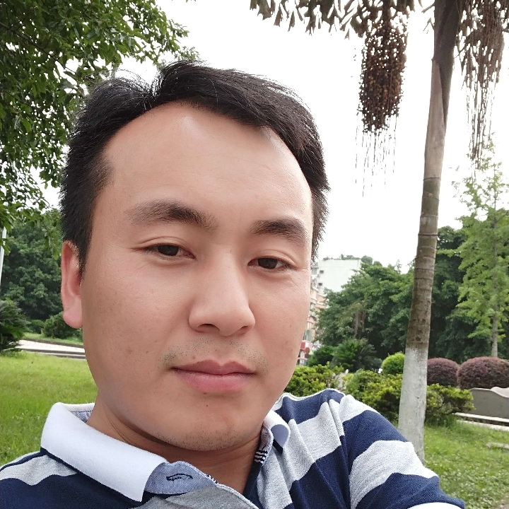落拓绿草的照片
