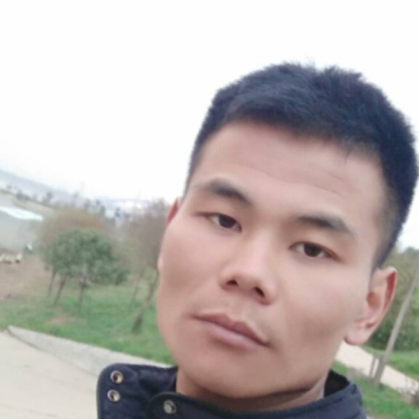 君子连的照片