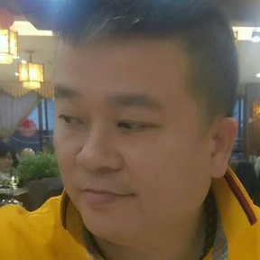 洋葱高大的照片