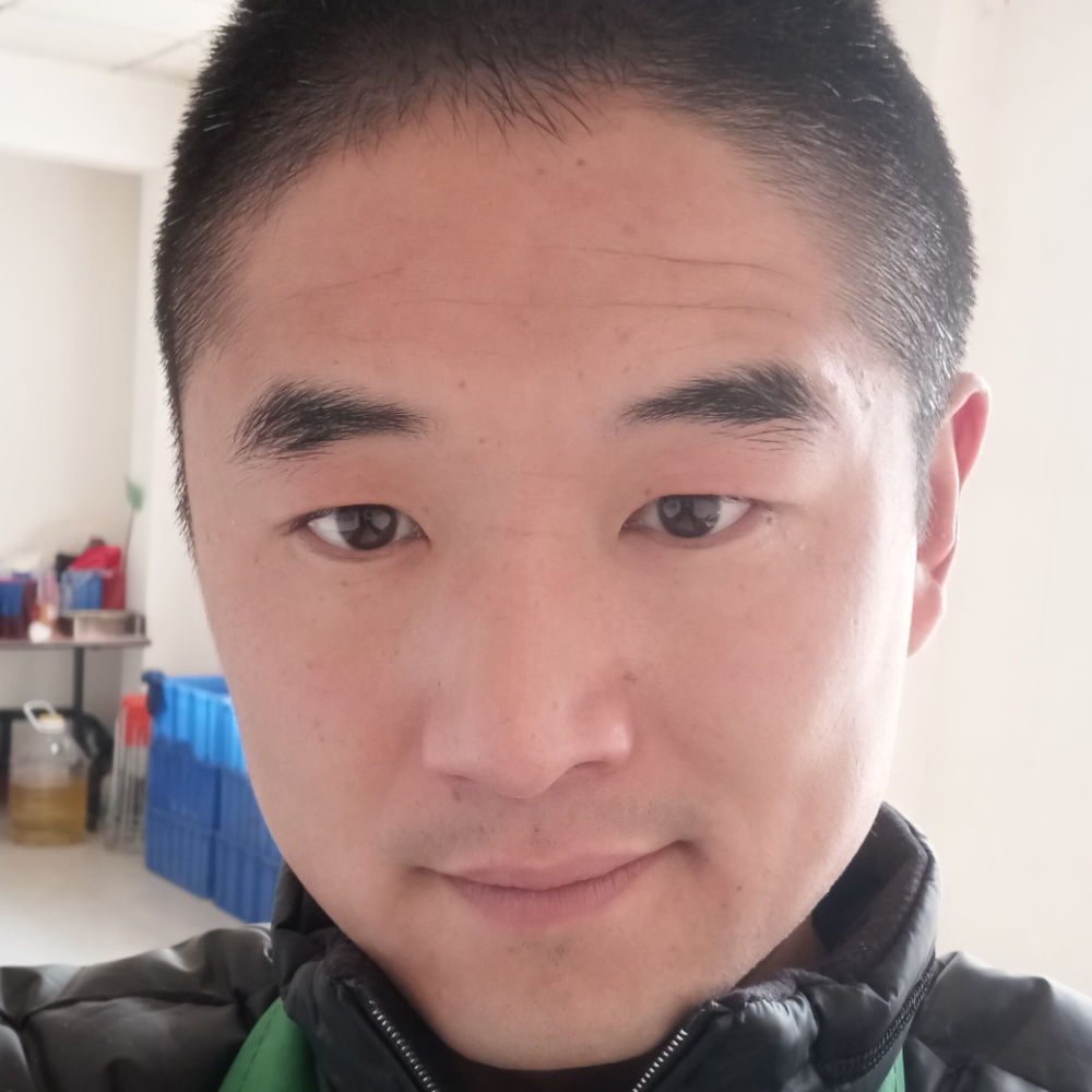 那片风儿飘过的照片