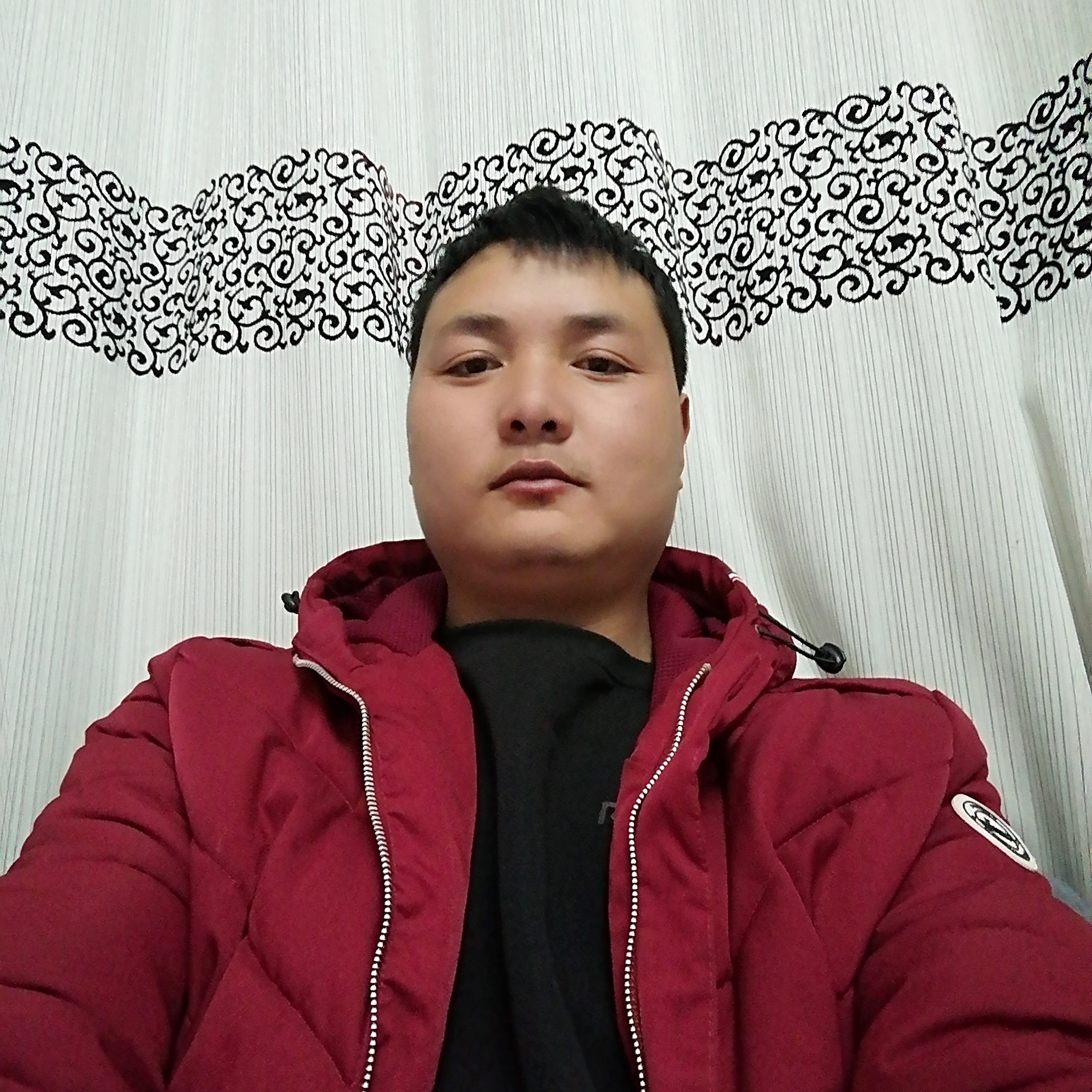 辛勤泪了小蜜蜂的照片