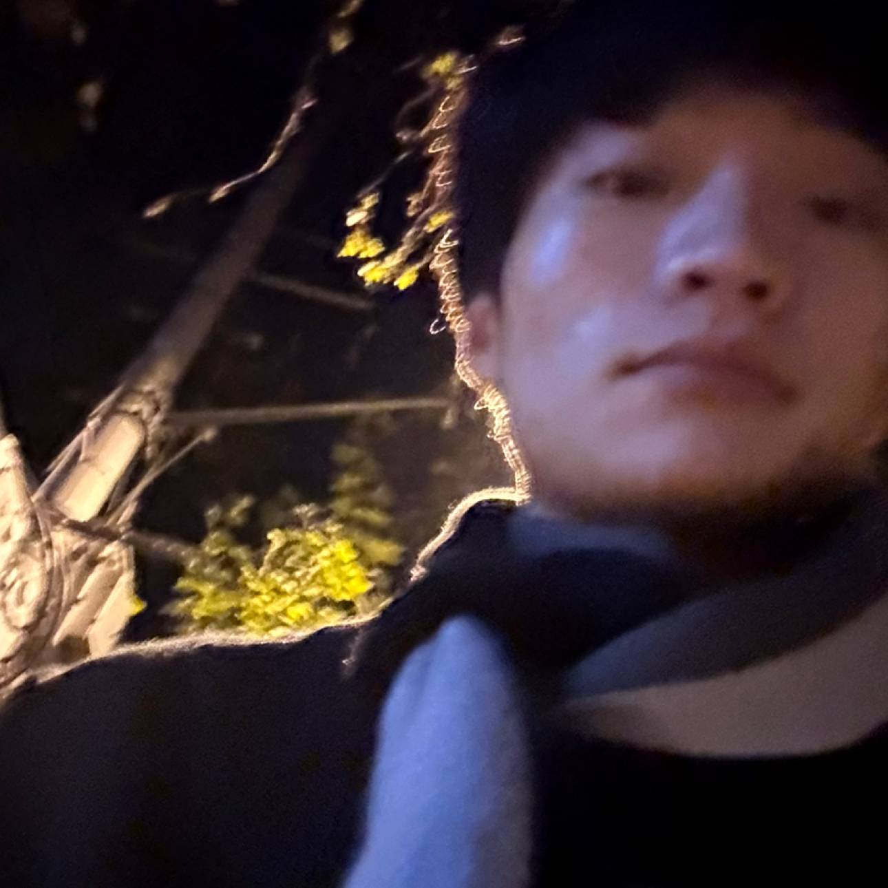踏实de迪伦的照片