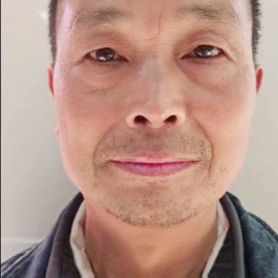 可靠請小蝴蝶的照片