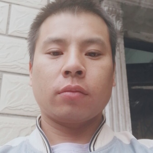 白菜萝卜的照片