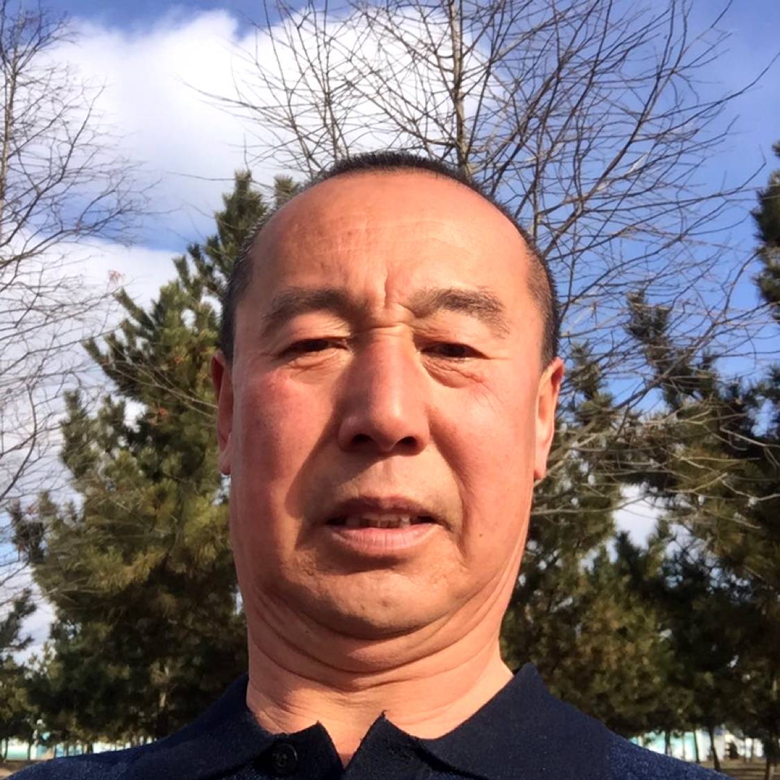 中心的翩飞的照片