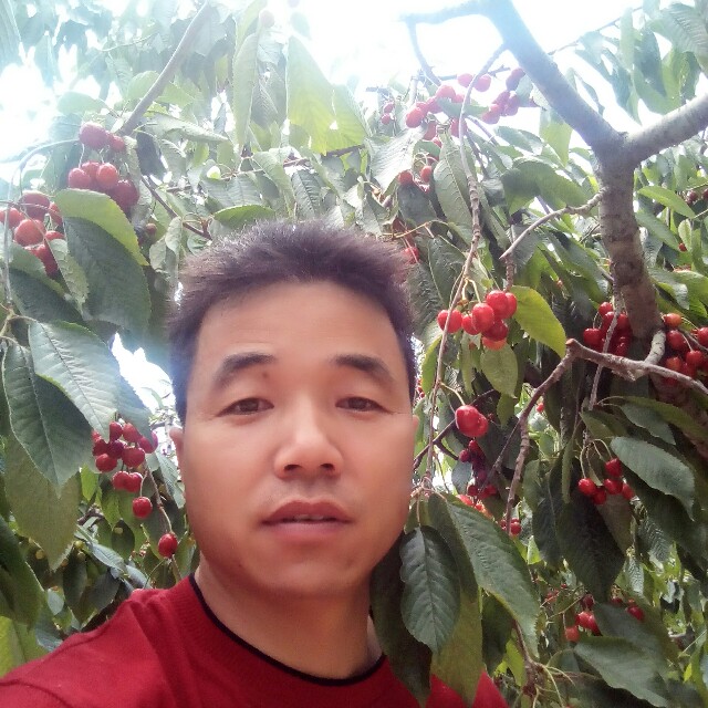 会员215746135的照片