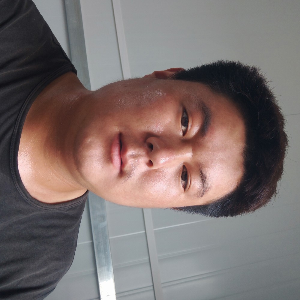 温柔向黄蜂的照片