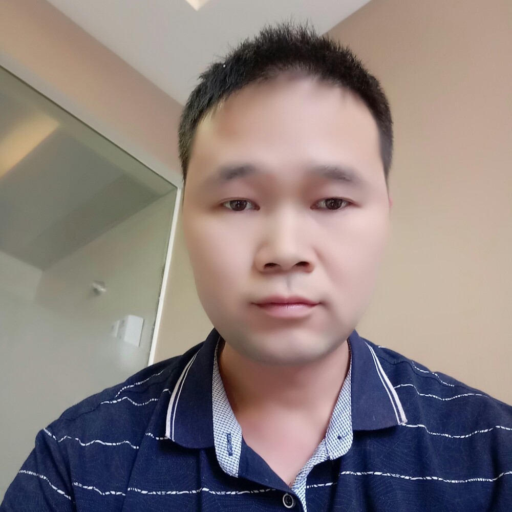 乌龟与和谐的照片